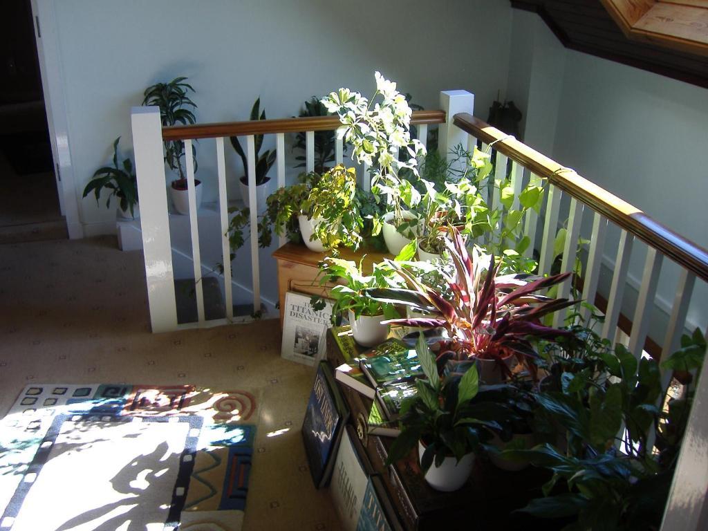Springfield B&B Boreland of Colvend Екстериор снимка